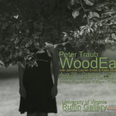 WoodEar opening at UVa’s Ruffin Gallery, August 29 – October 3rd, 2014.